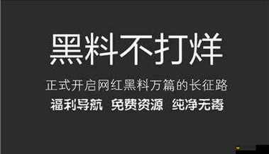 万篇长征-黑料不打烊 2024 背后的故事与争议